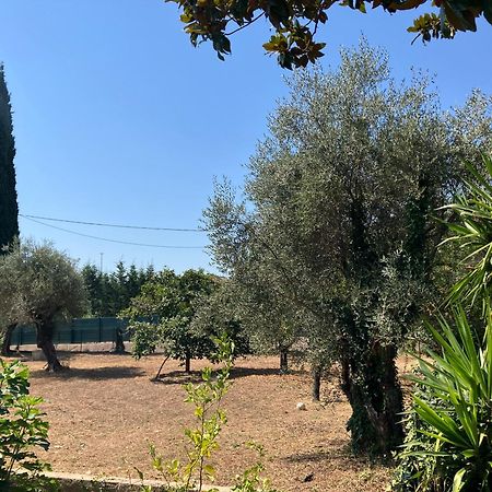 Villa Thyziri Roquefort Les Pins Bagian luar foto