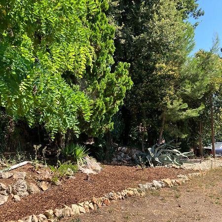 Villa Thyziri Roquefort Les Pins Bagian luar foto
