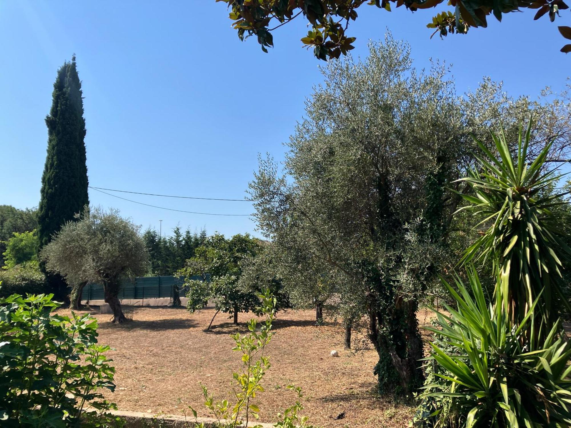 Villa Thyziri Roquefort Les Pins Bagian luar foto